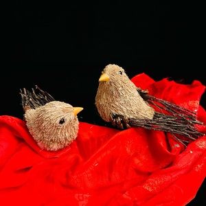 (#32) Pair of Birds for Crafts or Decorations 
6”L 4” H